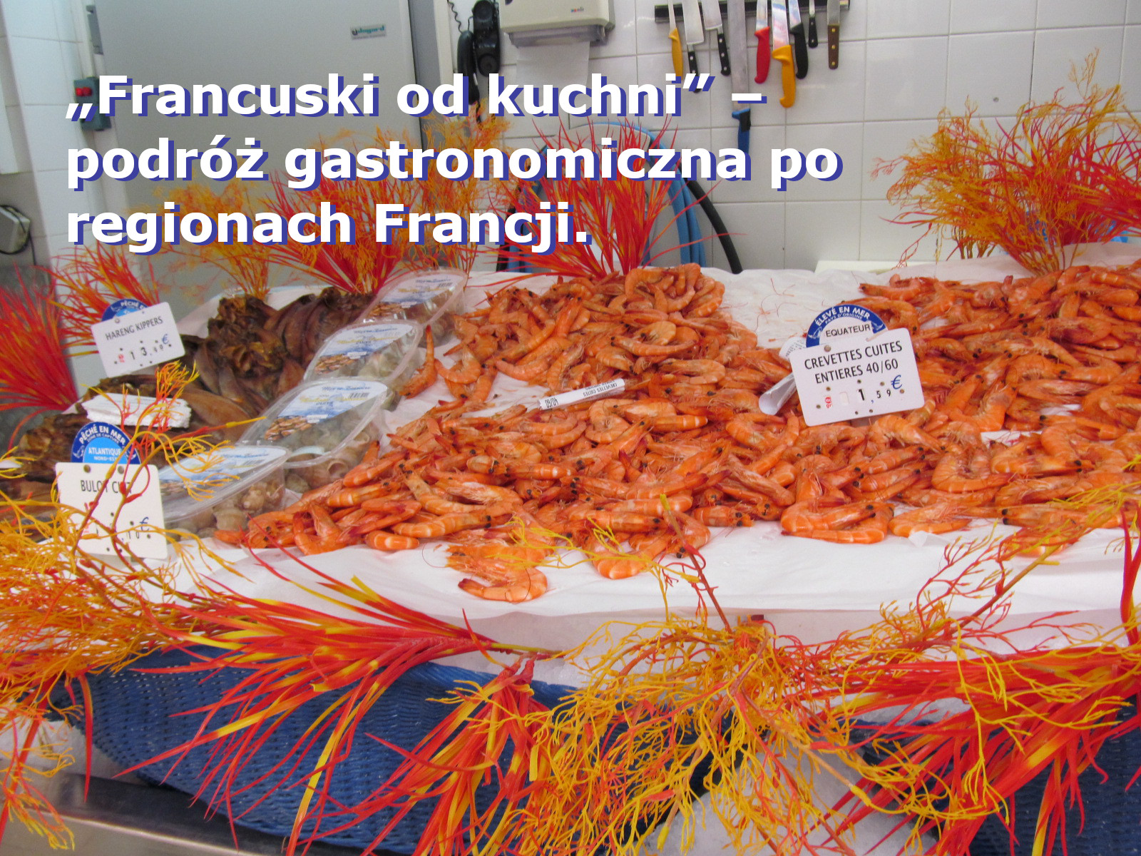 jdylewska1.jpeg
